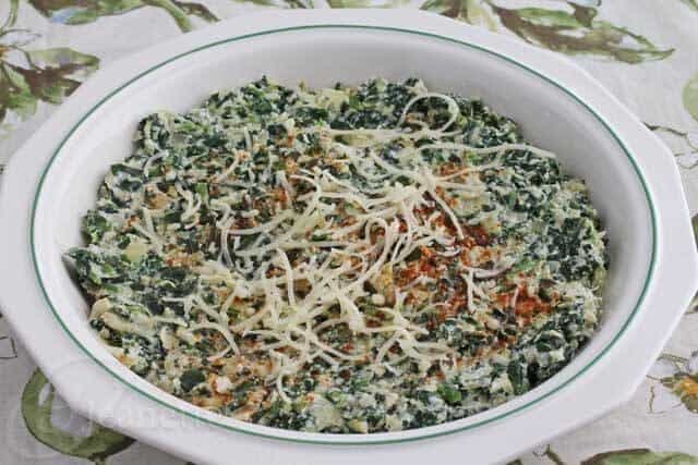Skinny Hot Spinach and Artichoke Dip with Fontina Cheese