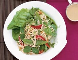 Snow Pea and Soba Noodle Salad with Thai Peanut Sauce