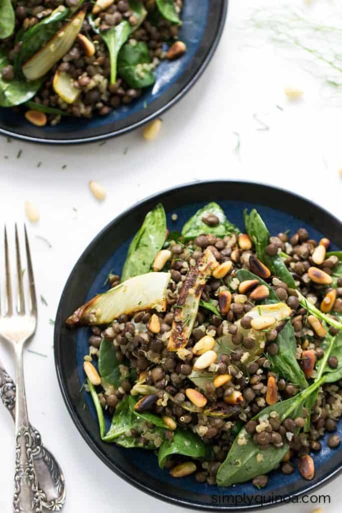 Warm Lentil Salad with Spinach & Quinoa
