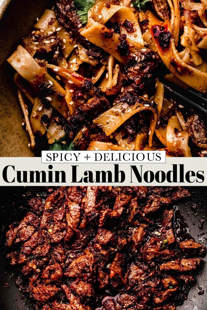 Cumin Lamb Noodles