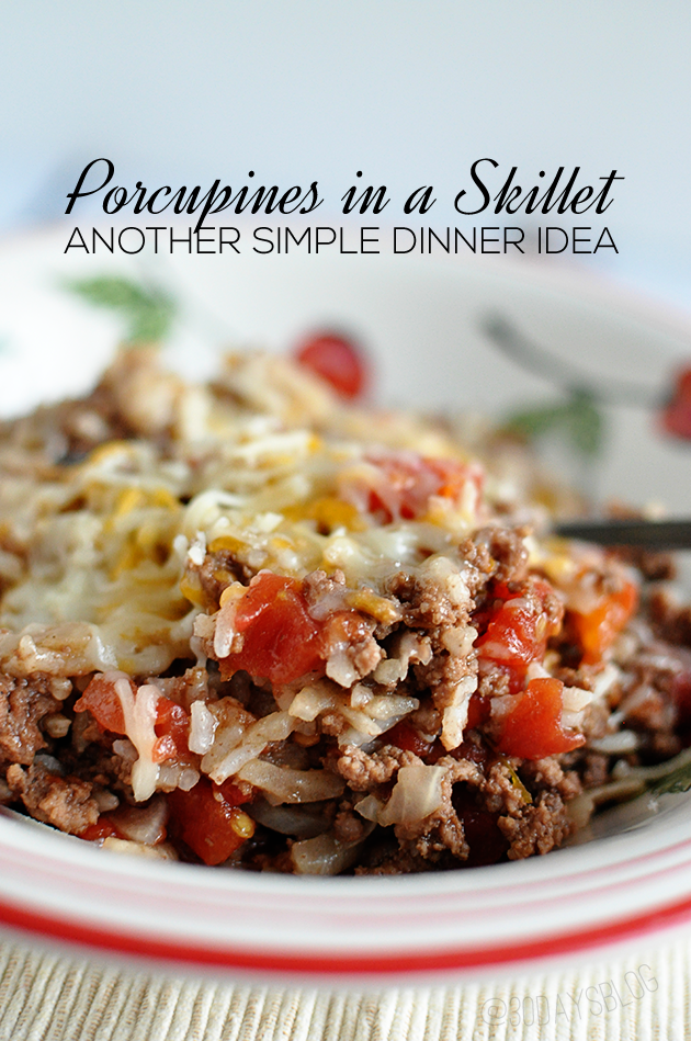 Dinner Ideas: Porcupines in a Skillet